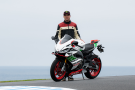 Nouvelle Aprilia RS 660 Phillip Island Tribute