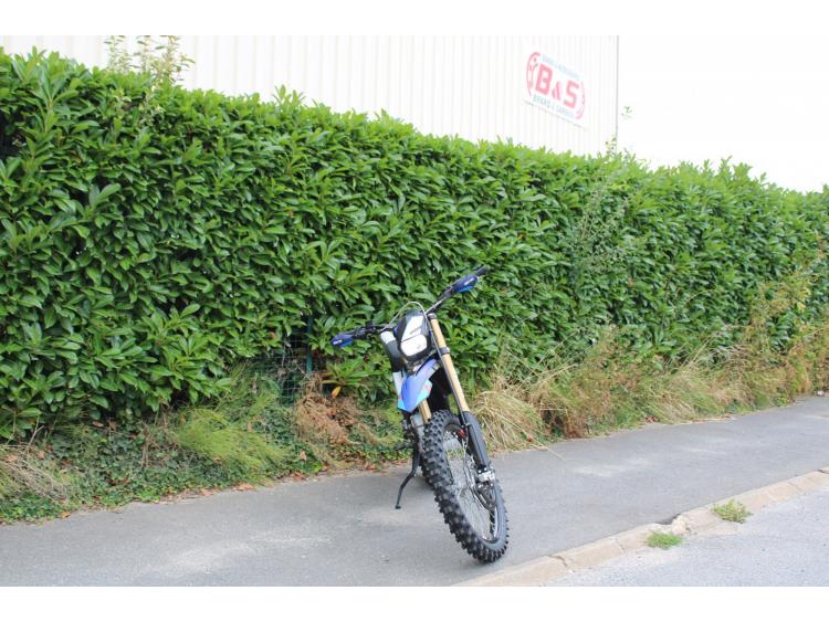 ELECTRIC MOTION  Escape XR Limited Edition