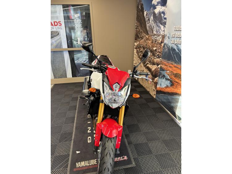 YAMAHA FZ8