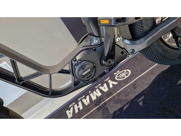 YAMAHA booster easy