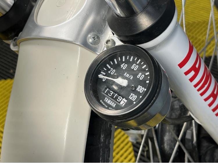 YAMAHA TY 250  1991