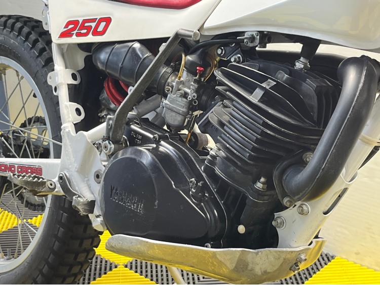 YAMAHA TY 250  1991