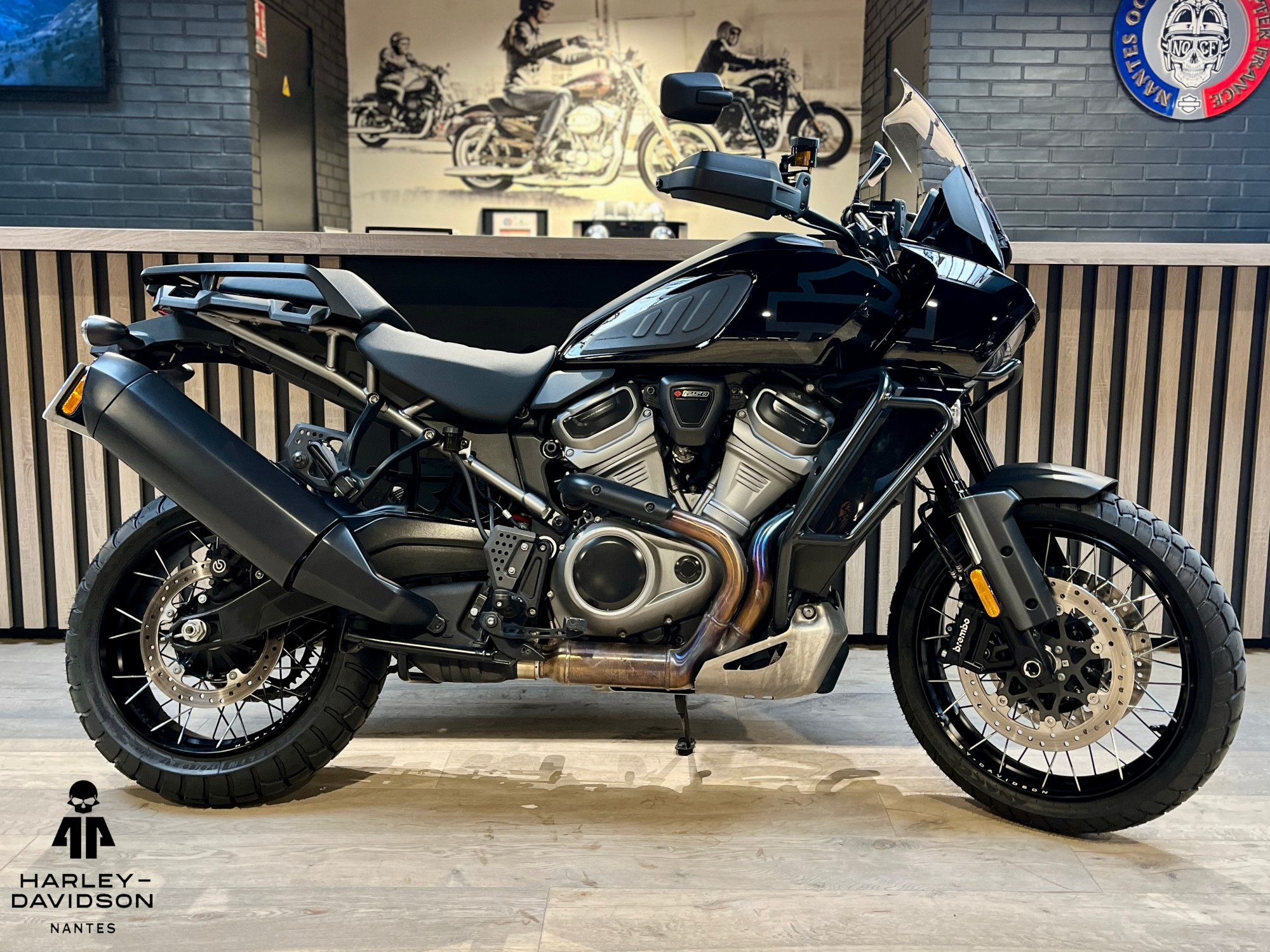 HARLEY-DAVIDSON ADVENTURE PAN AMERICA 1250 SPECIAL