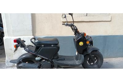 HONDA ZOOMER