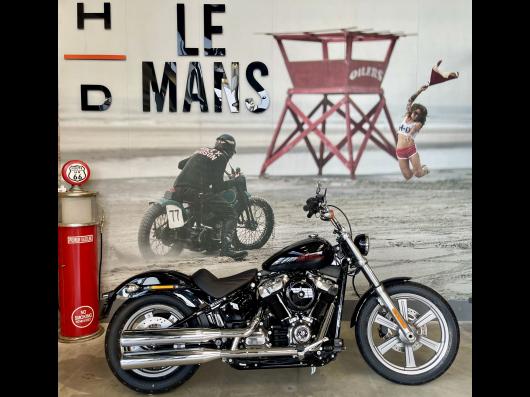 HARLEY-DAVIDSON SOFTAIL STANDARD 1745