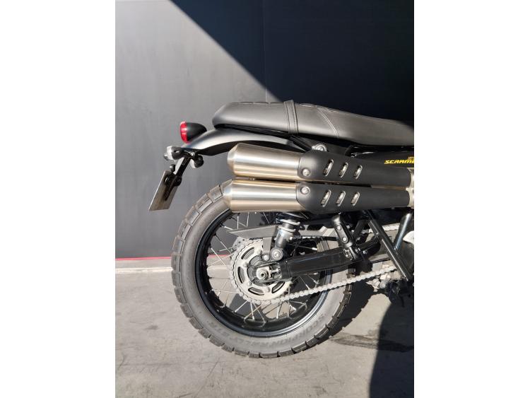 TRIUMPH STREET SCRAMBLER  900 GOLD LINE EDITION