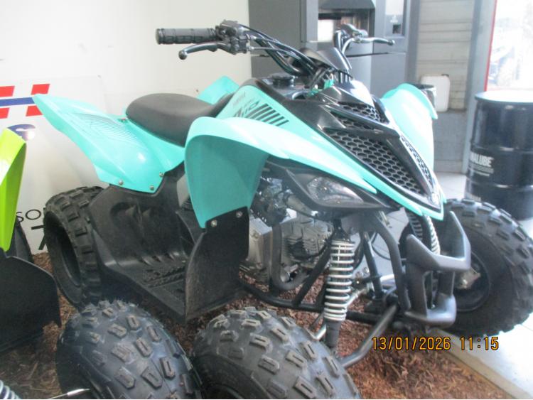 YAMAHA YFM 110 RAPTOR