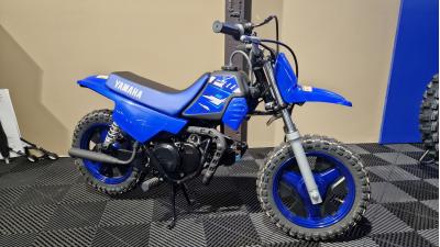 YAMAHA PW50