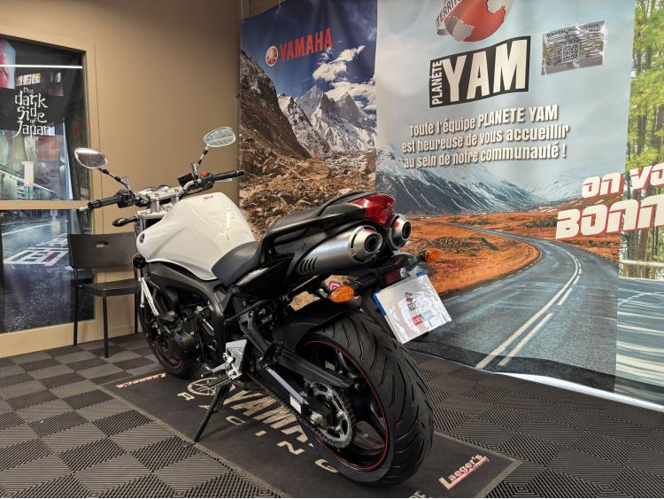 YAMAHA FZ6 (98CV)