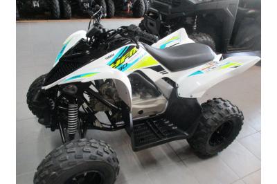 YAMAHA YFM 90 RAPTOR