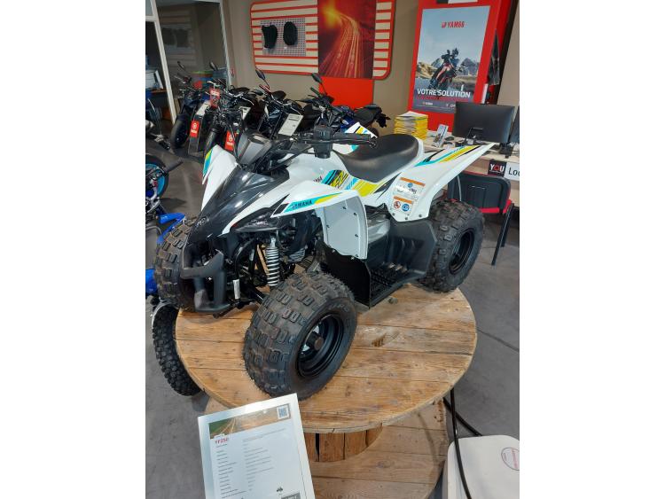 YAMAHA YFZ 50 RAPTOR