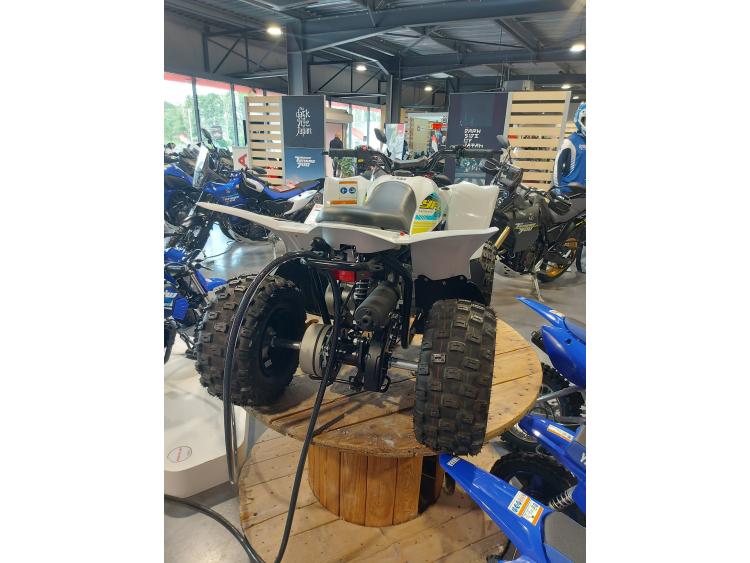 YAMAHA YFZ 50 RAPTOR