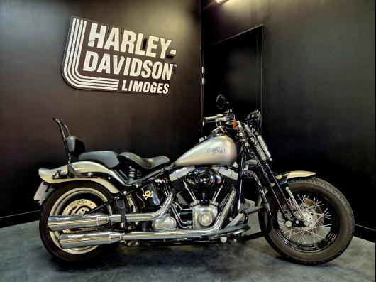 HARLEY-DAVIDSON SOFTAIL SPRINGER 1584 CROSS BONES