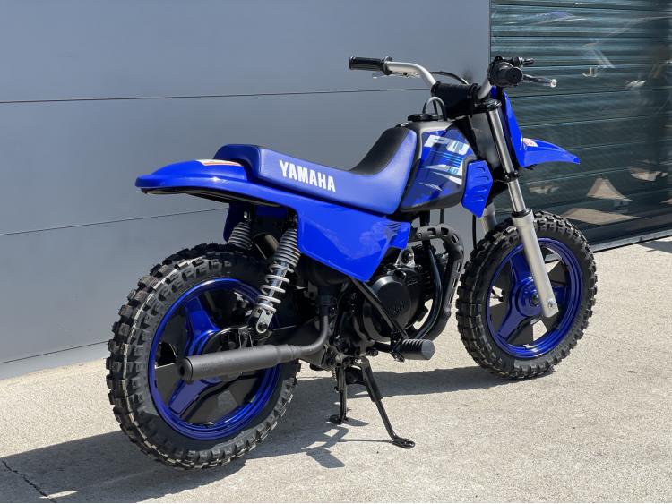 YAMAHA PW50