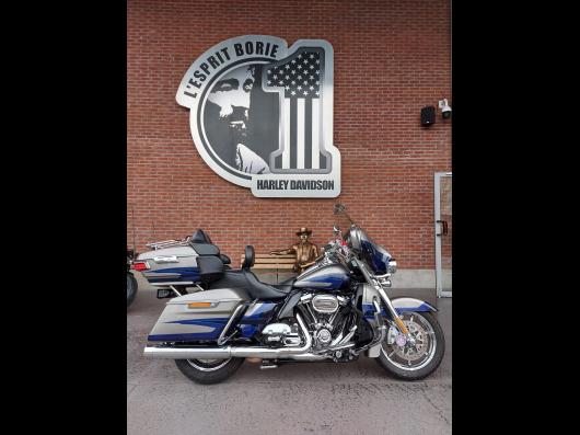 HARLEY-DAVIDSON TOURING ELECTRA GLIDE 1800 ULTRA CVO