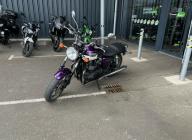 TRIUMPH Bonneville T100 SE