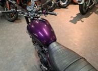 TRIUMPH Bonneville T100 SE