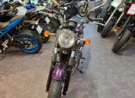 TRIUMPH Bonneville T100 SE