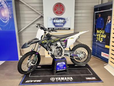 TRIUMPH TF 250-X