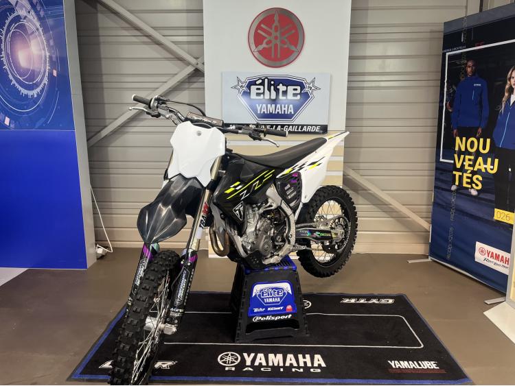 TRIUMPH TF 250-X