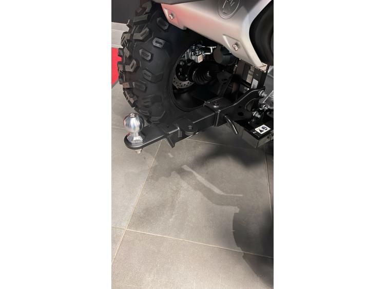 GOES TERROX 1000 R ABS