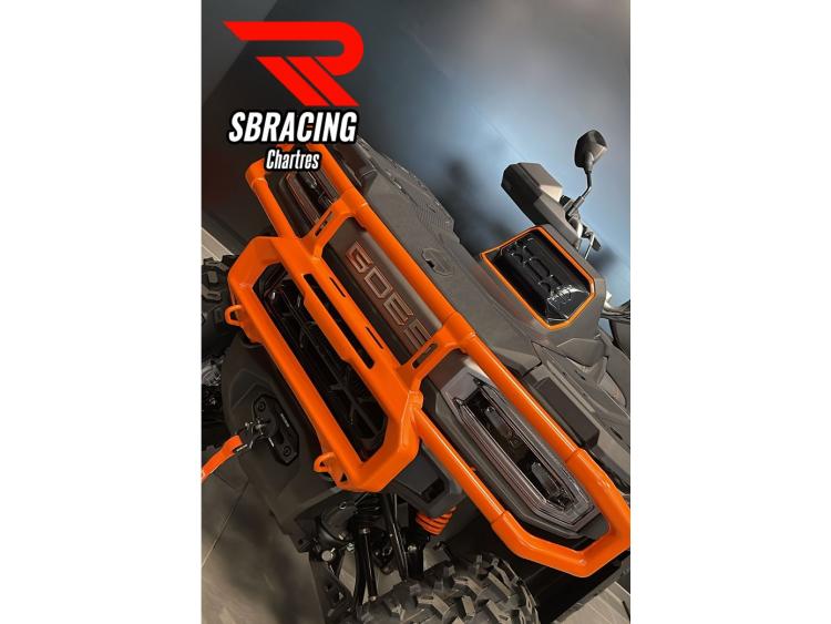 GOES TERROX 1000 R ABS
