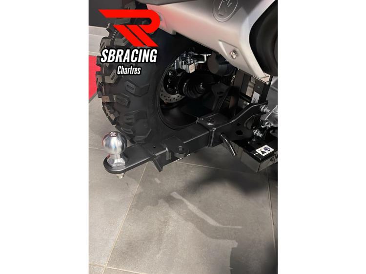 GOES TERROX 1000 R ABS