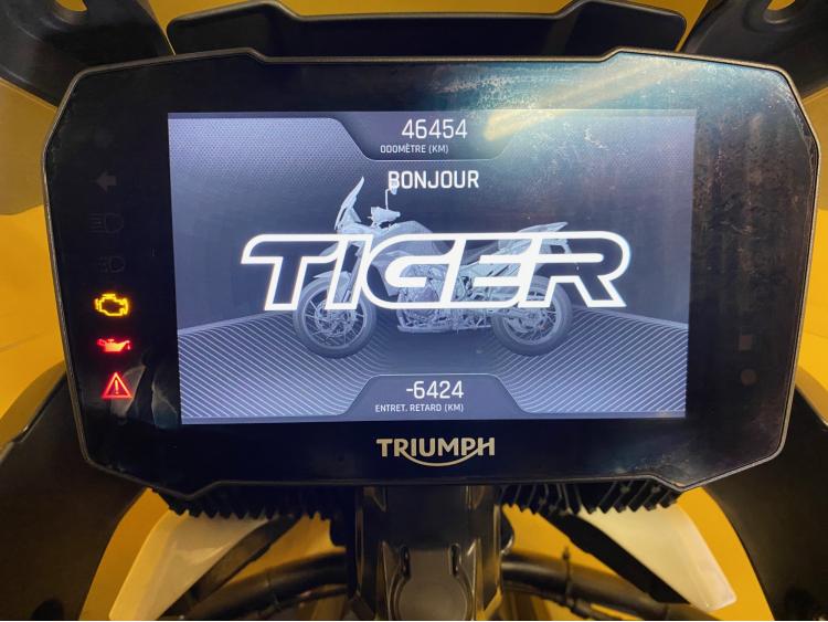 TRIUMPH Tiger 900 GT / TIGER900 / TIGER 900 / TIGER900GT / TIGER / BRIDABLE A2