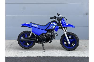 YAMAHA PW50