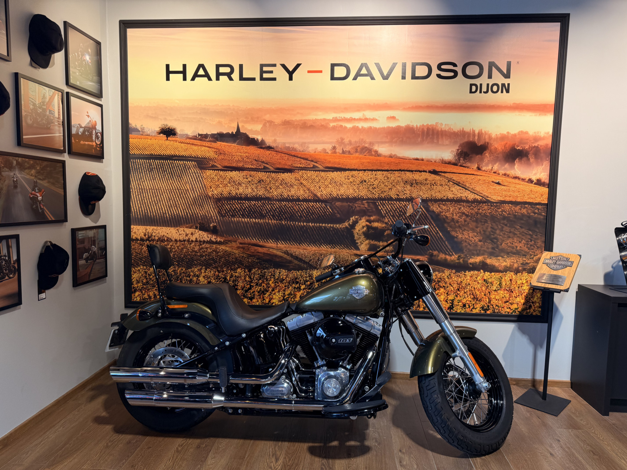 HARLEY-DAVIDSON SOFTAIL SLIM 1690