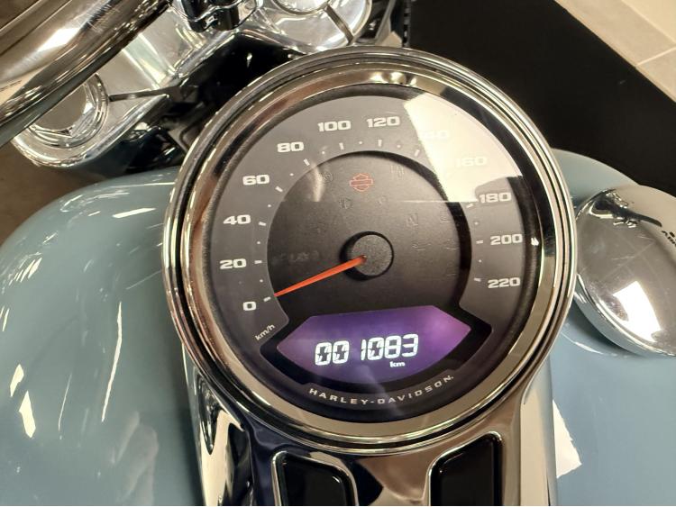 HARLEY-DAVIDSON SOFTAIL FAT BOY 1868