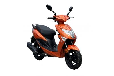 IMF INDUSTRIE NEWPATCH