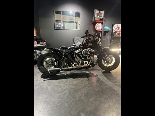 HARLEY-DAVIDSON SOFTAIL CROSS BONES 1584