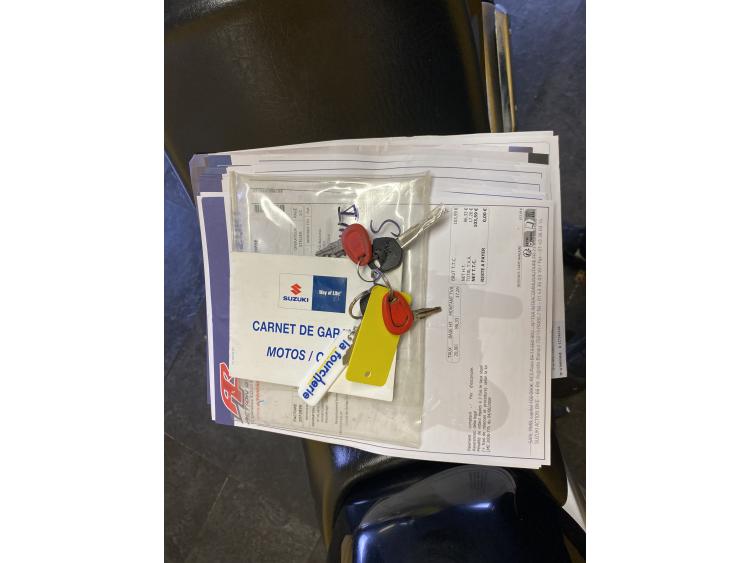 SUZUKI GW 250 INAZUMA / INAZUMA 250