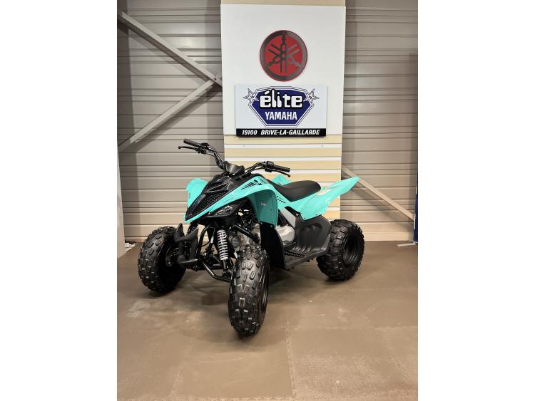 YAMAHA YFM 110 R RAPTOR