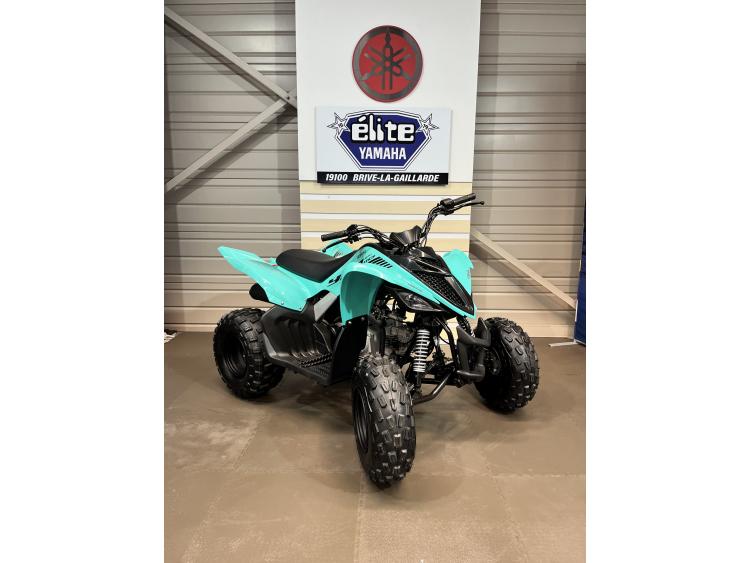 YAMAHA YFM 110 R RAPTOR