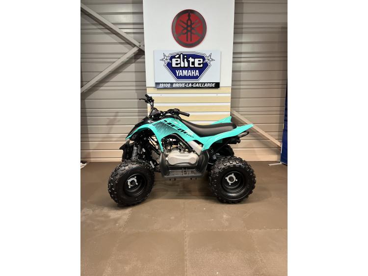 YAMAHA YFM 110 R RAPTOR