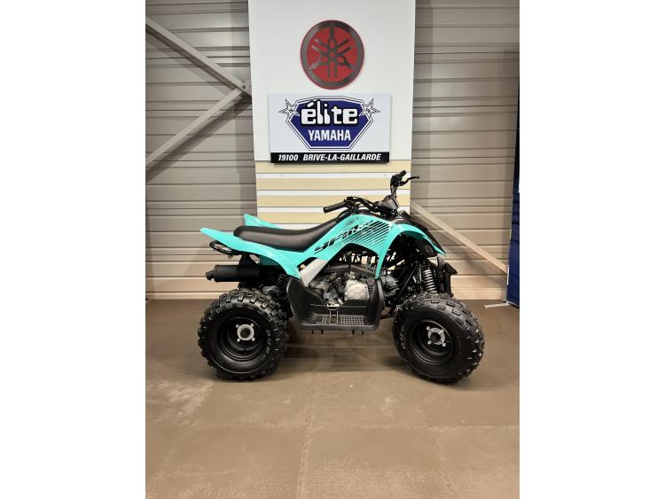 YAMAHA YFM 110 R RAPTOR