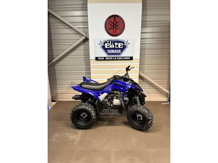YAMAHA YFM 110 R RAPTOR