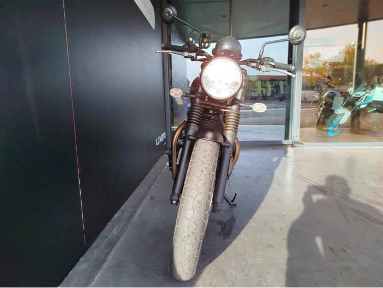 TRIUMPH SPEED TWIN 900 - 1er main - Porte paquet.