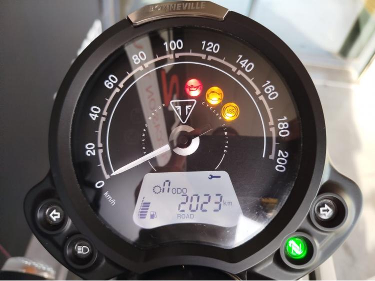 TRIUMPH SPEED TWIN 900 - 1er main - Porte paquet.