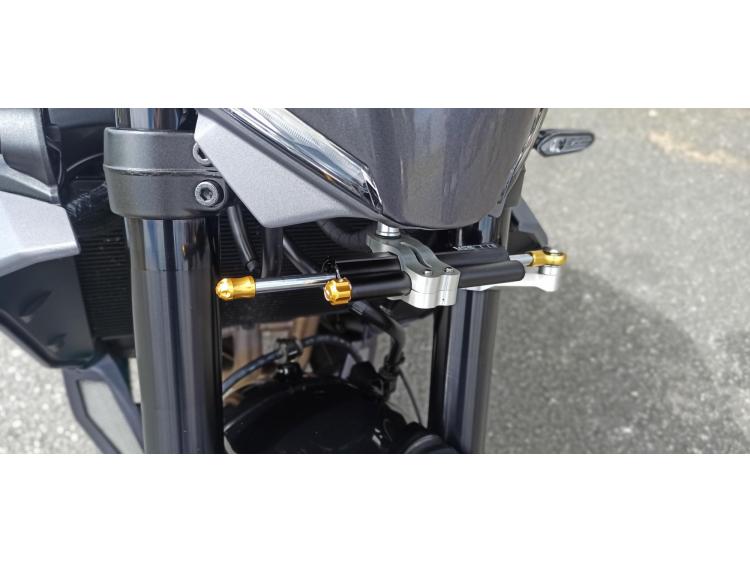 YAMAHA MT-09  Y-AMT