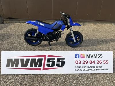 YAMAHA PW50