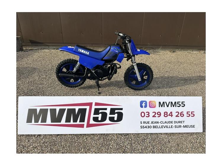 YAMAHA PW50
