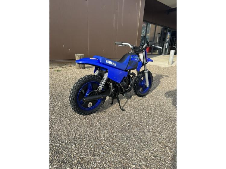 YAMAHA PW50