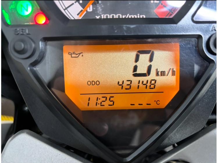 SUZUKI SV 1000 N 