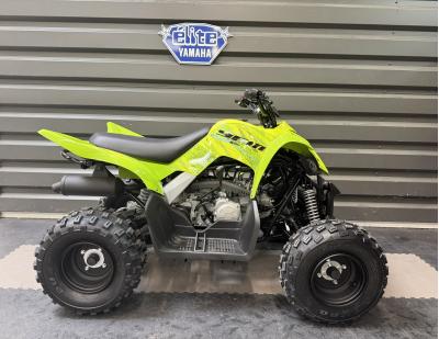 YAMAHA YFM RAPTOR 110