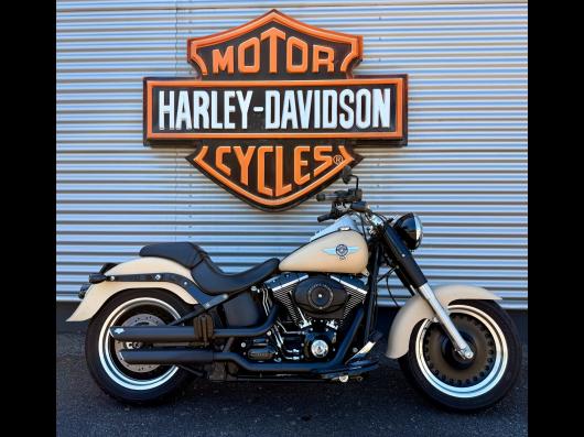 HARLEY-DAVIDSON SOFTAIL FAT BOY 1690 SPECIAL