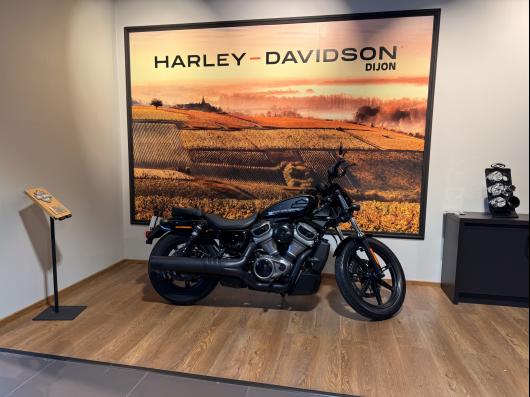 HARLEY-DAVIDSON SPORTSTER NIGHTSTER 975