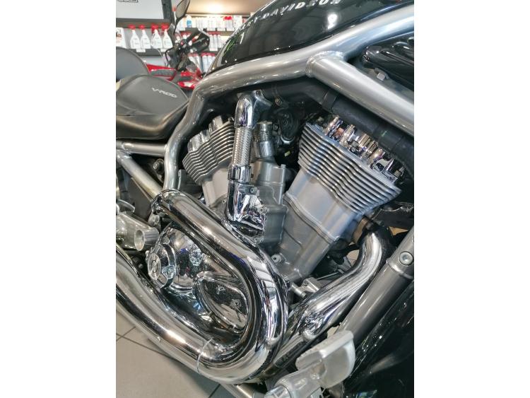 HARLEY-DAVIDSON V-ROD 1131cc 2005 / DSN MOTOS 33